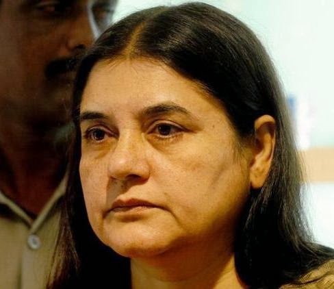 चाची बोली मोदी के सामने चिड़िया हैं राहुल