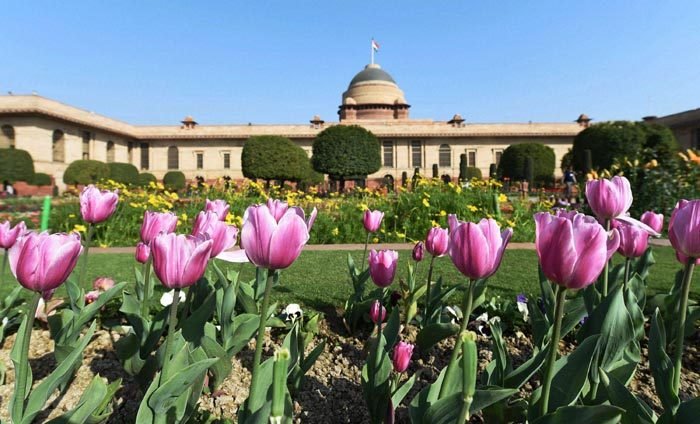 12 फरवरी को आम जनता के लिए खुलेगा मुगल गार्डन 12 फरवरी को आम जनता के लिए खुलेगा मुगल गार्डन