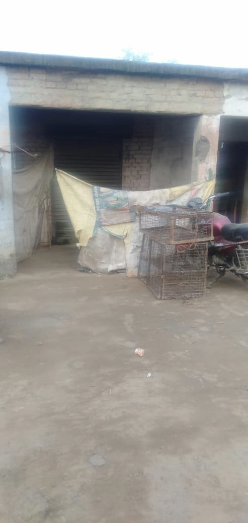 LUCKNOW | अवैध मांस विक्रेता की लापरवाही से कठवारा निवासी युवक के पैर में गंभीर चोट - Image 2 LUCKNOW | अवैध मांस विक्रेता की लापरवाही से कठवारा निवासी युवक के पैर में गंभीर चोट - Image 2